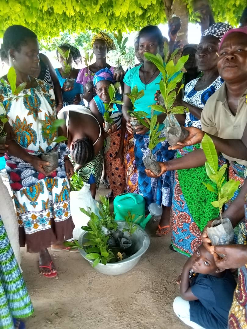 Journée Mondiale de l’Environnement : les agricultrices de Gamélili, Foulani Kondji, Tokpévia et Tsito plantent l’espoir